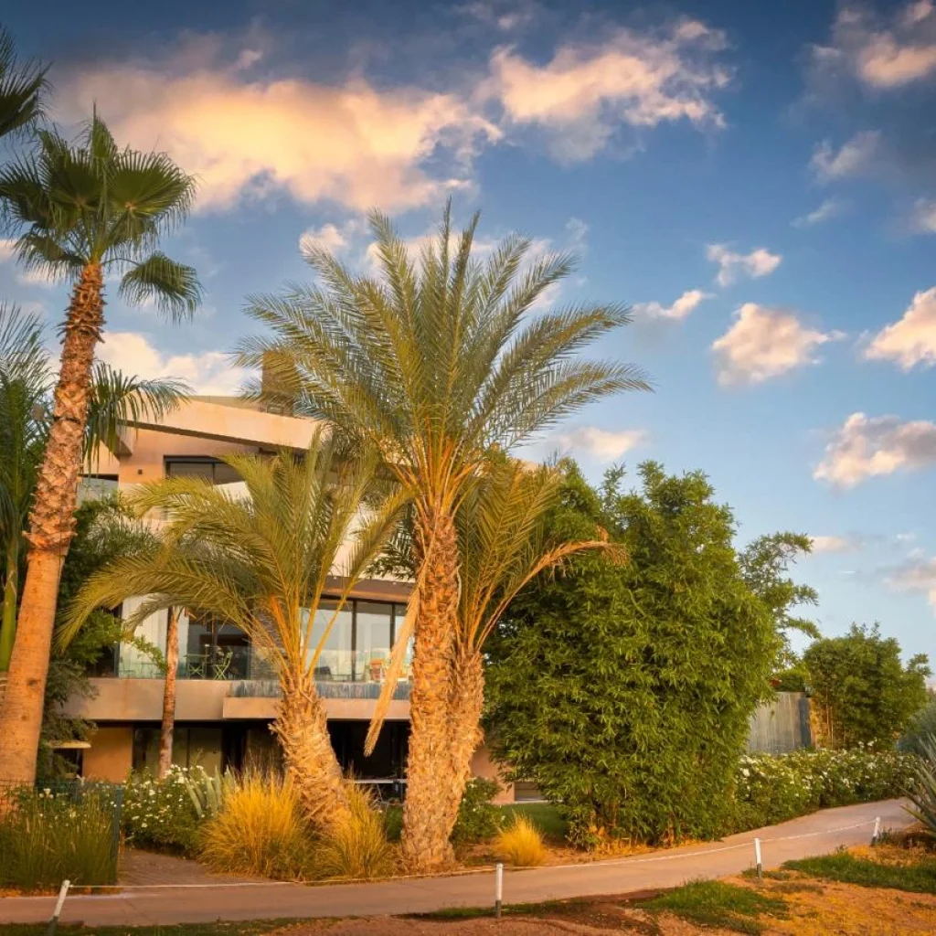 villa_a_marrakech_Argan