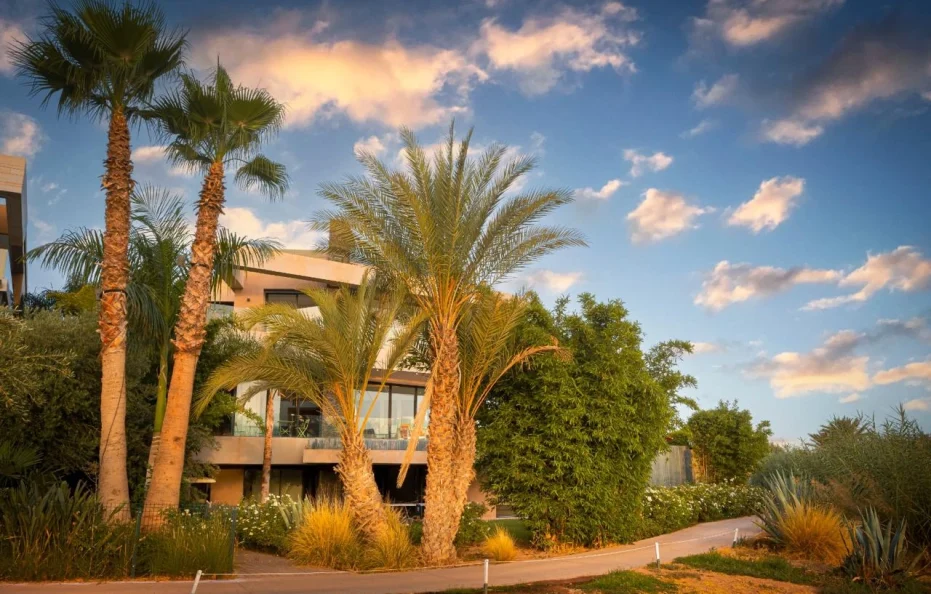 Argan | ViLLa à Marrakech