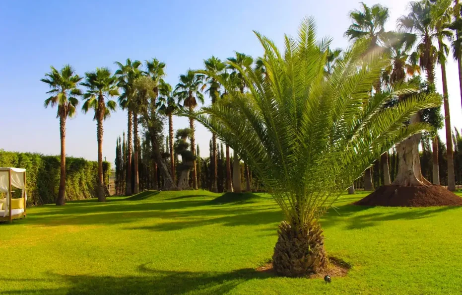 Saphir | ViLLa à Marrakech