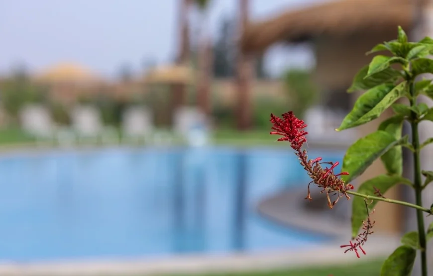 Pur sang | ViLLa à Marrakech