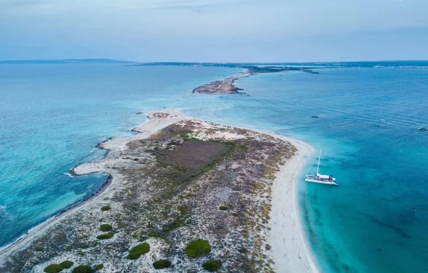 Excursion en bateau VIP à Formentera avec sport et option paella et boissons