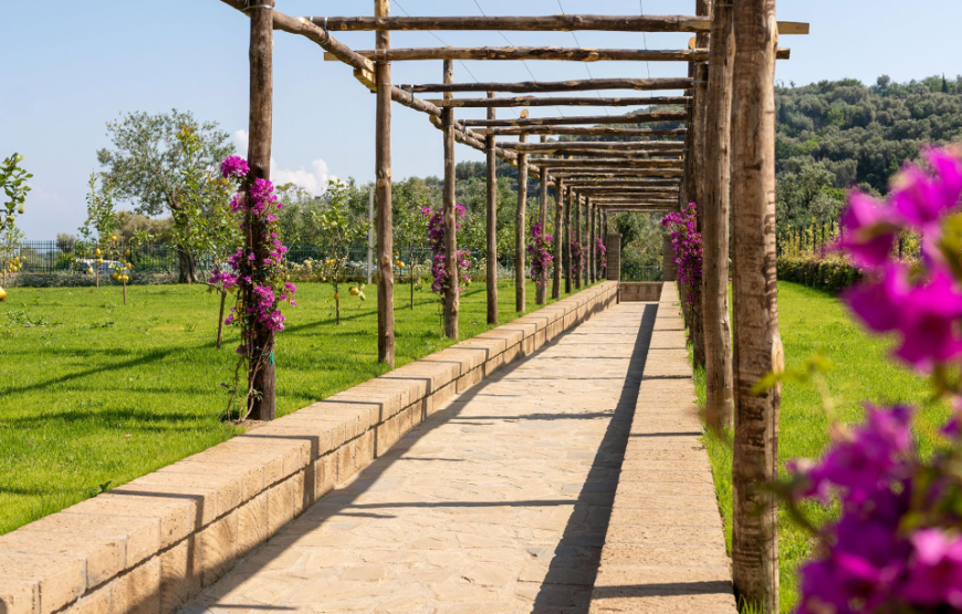 Tenuta Viola | Villa Amalfi Coast