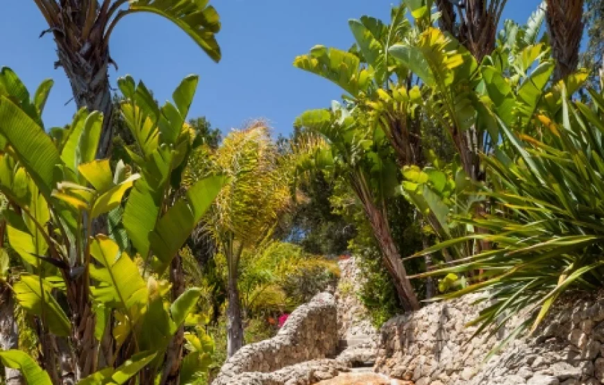 Villa Dorada | Villa Ibiza