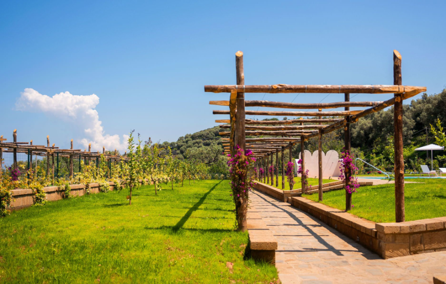 Tenuta Viola | Villa Amalfi Coast