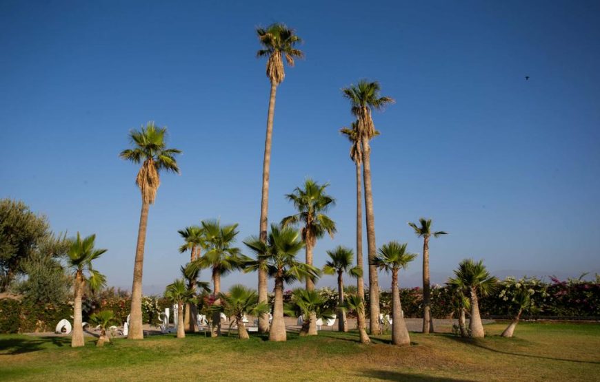 Villa Zina | Villa à Marrakech
