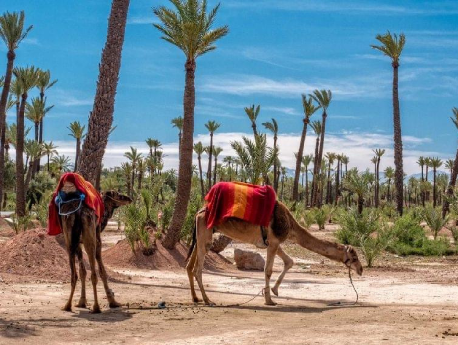 marrakech