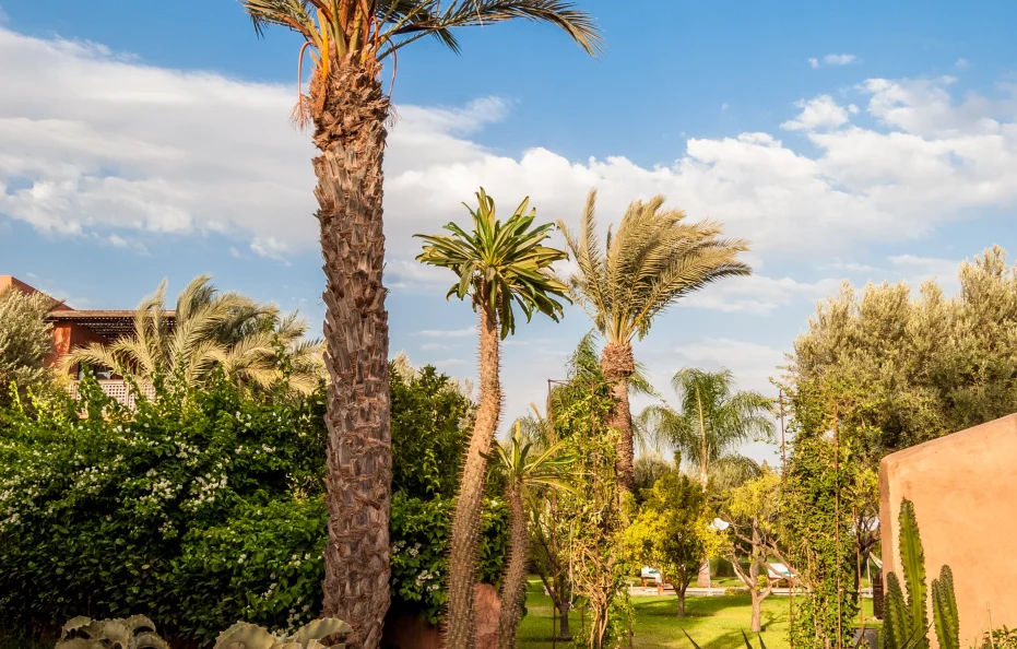 Villa Jardin Secret | ViLLa à Marrakech