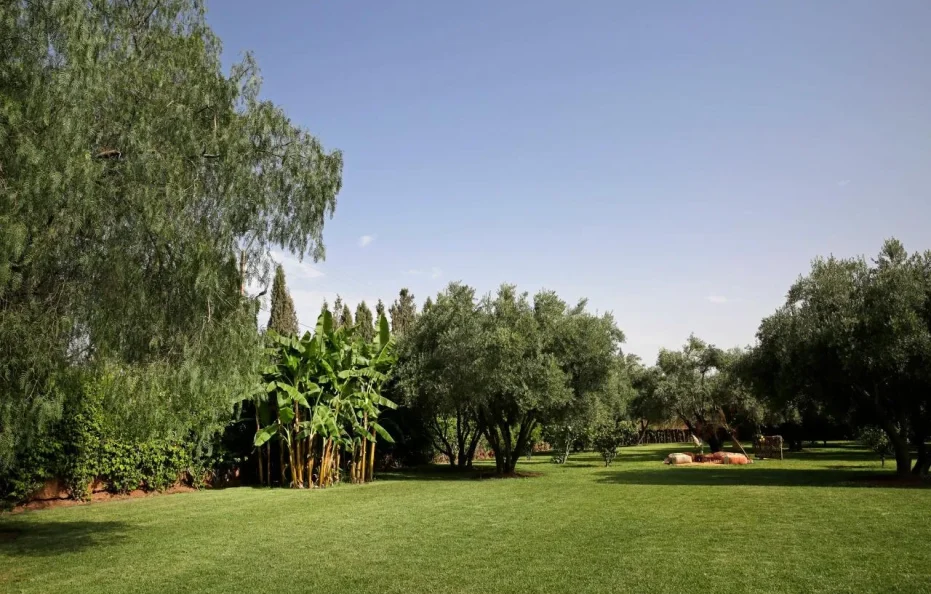Villa Dreams | Villa à Marrakech