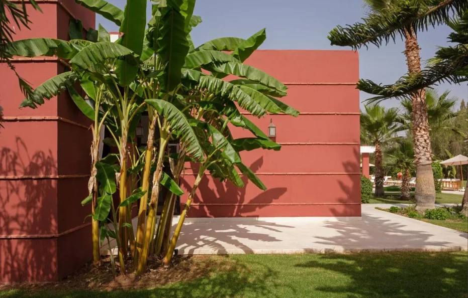 Villa Dreams | Villa à Marrakech