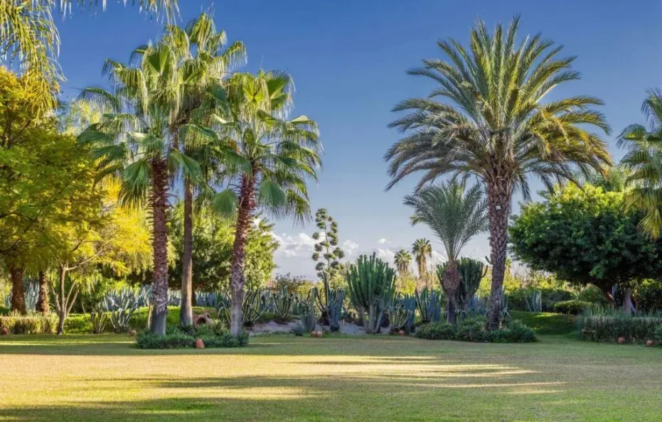 Villa Silvana | Villa à Marrakech