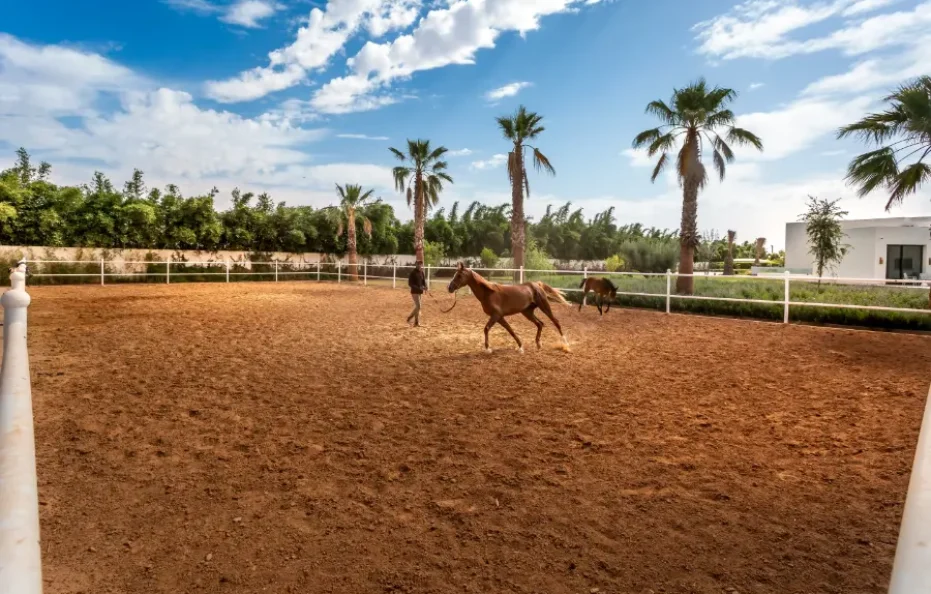 Villa Olympus | Villa à Marrakech