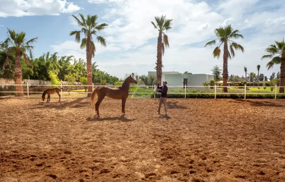 Villa Olympus | Villa à Marrakech