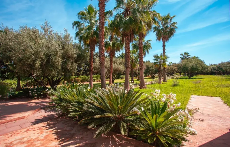 Villa Amara | ViLLa à Marrakech