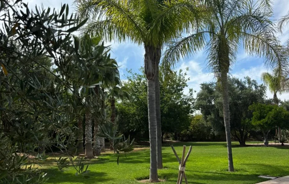 Villa issa | Villa à Marrakech