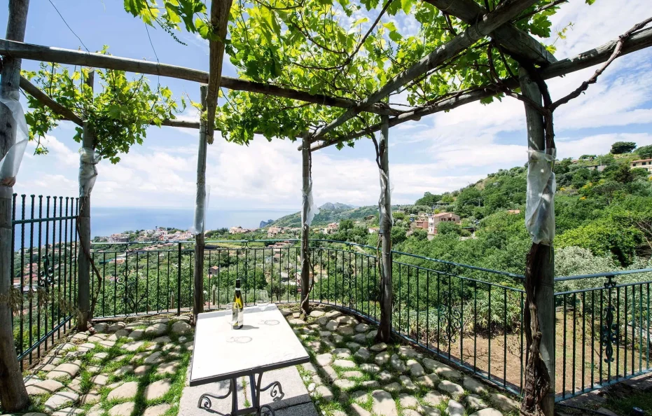 Villa Tortuga | Villa Sorrento