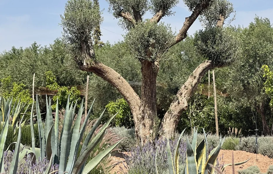 Villa OPALE Marrakech | Villa à Marrakech